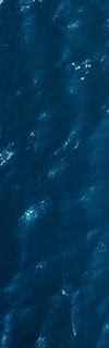 ocean-banner